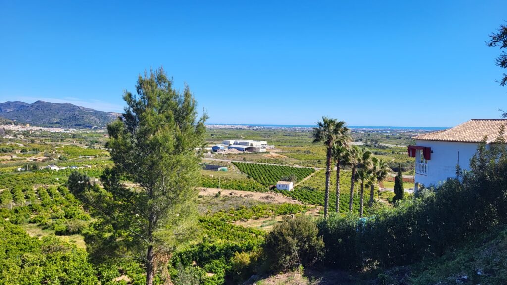 Vista elevada de extensos huertos de cítricos y cultivos en Alicante, Costa Blanca, que ejemplifica el suelo rústico que puede ser clasificado como urbanizable, con montañas de fondo y la ciudad costera consolidada (suelo urbano) a lo lejos bajo un cielo azul claro