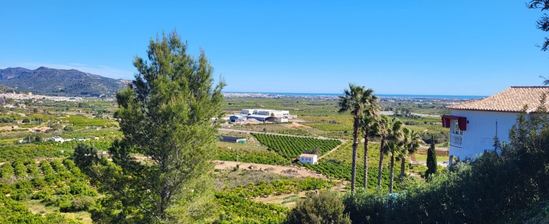 Diferencia entre suelo Urbano y Urbanizable en Alicante: Evital el error de los 50.000€