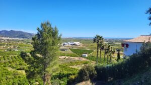 Vista elevada de extensos huertos de cítricos y cultivos en Alicante, Costa Blanca, que ejemplifica el suelo rústico que puede ser clasificado como urbanizable, con montañas de fondo y la ciudad costera consolidada (suelo urbano) a lo lejos bajo un cielo azul claro